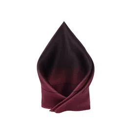 Peter England Colourblocked Pocket Squares-image-7