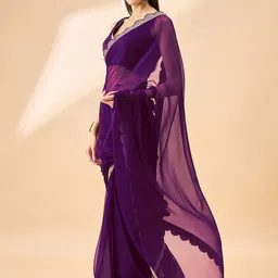AMRUTKALA SAREES Sequinned Embellished Border Saree image 2