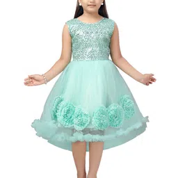 BAESD Net Fit & Flare Dress-picture-45