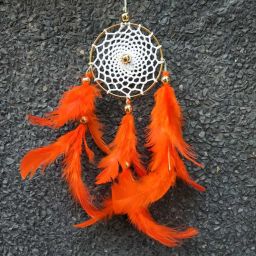 NLDC 31 Feather Dream Catcher-image-11