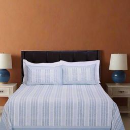 SHAHENAZ Blue & White Geometric Cotton 120 TC Queen Bedsheet with 2 Pillow Covers-image-49