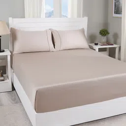 MASPAR Beige 300 TC Bedsheet With 2 Pillow Covers 2.75 m x 2.75 m-image-39