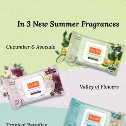 TULIPS Set Of 3 Refreshing Wet Wipes With Cucumber & Avocado - 30 Wipes each image 3