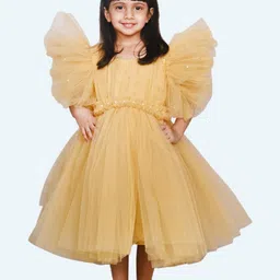 Modish Puff Sleeve Net Fit & Flare Dress-28