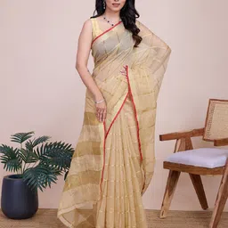 DWIJA FASHION Checked Woven Design Zari Organza Saree-picture-44
