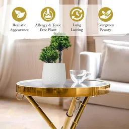 Kuber Industries White 4 Pieces Artificial Flower With Pot image 5