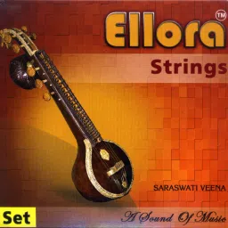 Saraswati Veena Complete Strings set Professional Bronze Quality Veena String-11