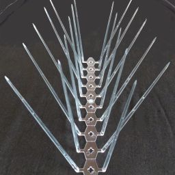 Bird Spike-6