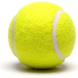 International Light Weight Green Color Tennis Ball (Pack of 12) Tennis Ball Tennis Ball-image-83