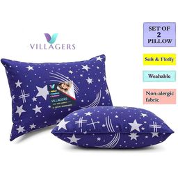 VILLAGERS Blue Set of 2 Cotton Filled Polyester Sleep Pillow-image-43