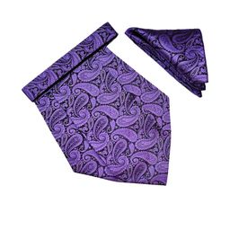 Paisley Design Cravats & Pocket Square Combo-image-29