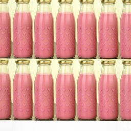 SOMIL Set Of 10 Glass Water Bottle-image-36