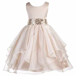 Wish little Net A-Line Maxi Dress image 1