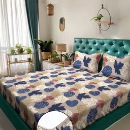 KLOTTHE Blue & Brown Printed 300 TC King Fitted Bedsheet Set 2.7 m x 2.7 m-image-64