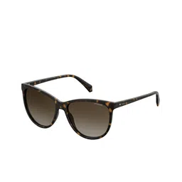 Polaroid Women UV Protected Lens Full Rim Oval Sunglasses-image-29