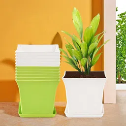Kuber Industries Green & White 12 Pieces Premium Flower Pots for Garden with Bottom Plates-image-66