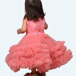 Modish Net Fit & Flare Dress image 5