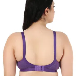 Designer Bugs Pack Of 3 Full Coverage Seamless Bra image 3