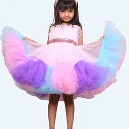 Modish Net Fit & Flare Dress image 5