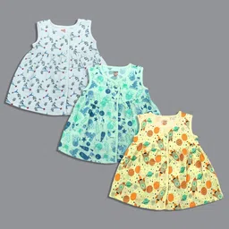 Born Babies Pack Of 2 Girl Graphic Print Fit & Flare Dress-picture-58