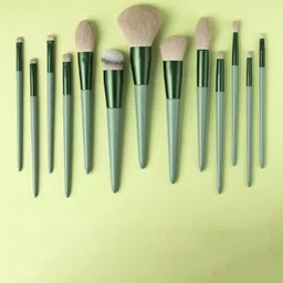 zemglam Set Of 13 Professional Makeup Brush Set-14