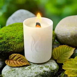 Ekhasa White Textured Wild Peach Bush Fragrance Scented Jar Candle-0