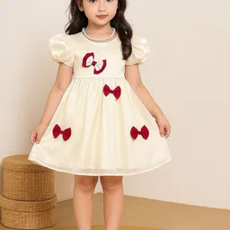 SHRVAAY GROUP Puff Sleeve Satin Fit & Flare Dress-picture-20