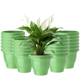 Kuber Industries Pack Of 24 Green Planters-11
