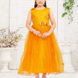 BAESD Net Maxi Dress-picture-7