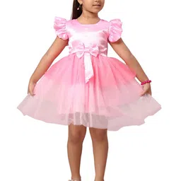 BAESD Net Fit & Flare Dress image 2