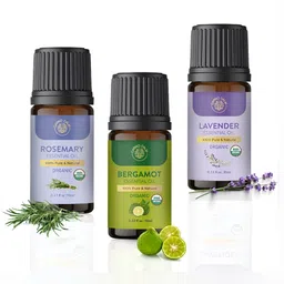 Carno Calm Set Of 3 Green Rosemary Lavender & Bergamot Essential Oils -10 ml Each-23