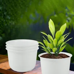 Kuber Industries 4 Pcs Planters With Plate-61