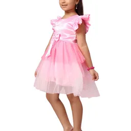 BAESD Net Fit & Flare Dress image 1