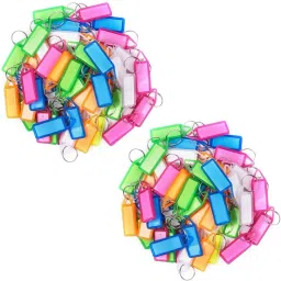 Assorted Tag/Label Key Chain Pack Of 100 Carabiner-image-43