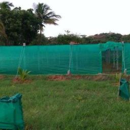 Green Shade NET - (1mx 15m) 50%/ Sun Light blocking/ multipurpose For gardening / polyhouse/Green house /nursery/plants/ home balcony/ agro net/ terrace garden/sun shade for balcony / Dust Protect shade nets -(3.25ft x 50ft) Portable Green House-17