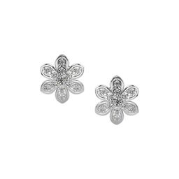 VALANOVA 14K White Gold 0.33 Ct Lab Grown Diamond Stud Earrings-picture-34