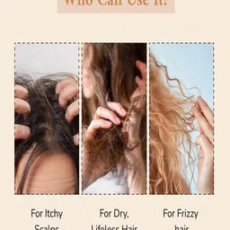 Zanya Non-Sticky Hair Oil For Hair Growth With Argan & Jojoba Oil - 120 ml image 4