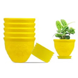 6 Inch Victor Pot for Plants with Saucer Tray-11