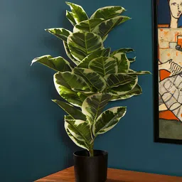 THE ARTMENT Verdora Rubber Artificial Plant with Pot Set of 1-image-94