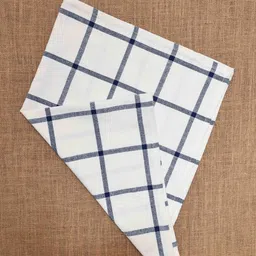 Ariana White & Blue 2 Pieces Cotton Highly Absorbent Soft Kitchen Towels-10
