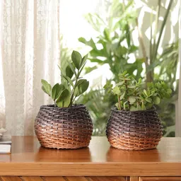 peepul tree Textured Wooden Wicker Planters Wooden Fruit & Vegetable Basket-picture-0