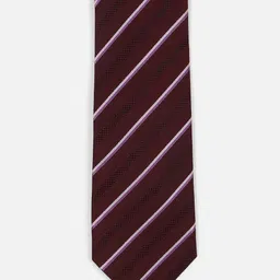 Van Heusen Men Striped Broad Tie-picture-46