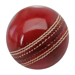 HackerX Leather Sports Cricket Ball-13