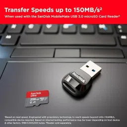 SanDisk SD SQUAB-256G-GN6MN ultra 256 GB Memory Stick XC Class 10 150 MB/sMemory Card Compatible with Camera image 3