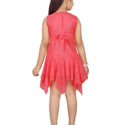 BAESD Net Drop-Waist Dress image 5