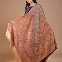 SWI Stylish Women Ethnic Motifs Woven Design Shawl-picture-32