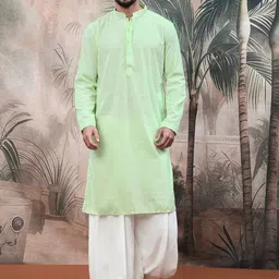 Sangria Chikankari Straight Kurta-picture-17