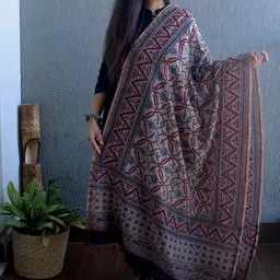 Weaves of Tradition Ethnic Motifs Block Printed Chanderi Cotton Silk Dupatta-18