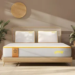 SleepyCat Hybrid Latex Orthopedic 8 inch Thickness Single Size Mattress 78x36x8 Inches-picture-15