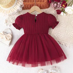 BAESD Net A-Line Dress image 3